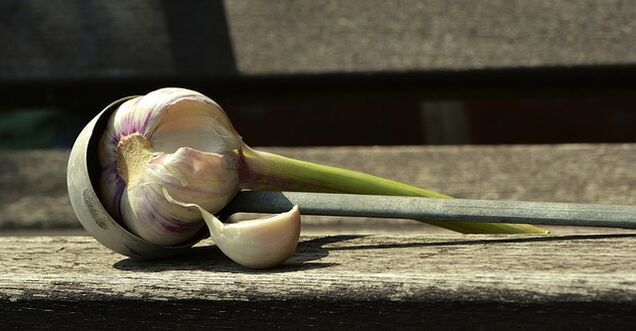 Garlic against worms
